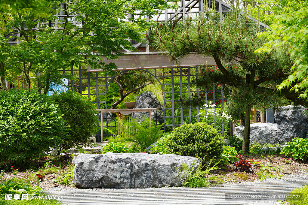 日式庭院景观 静谧自然