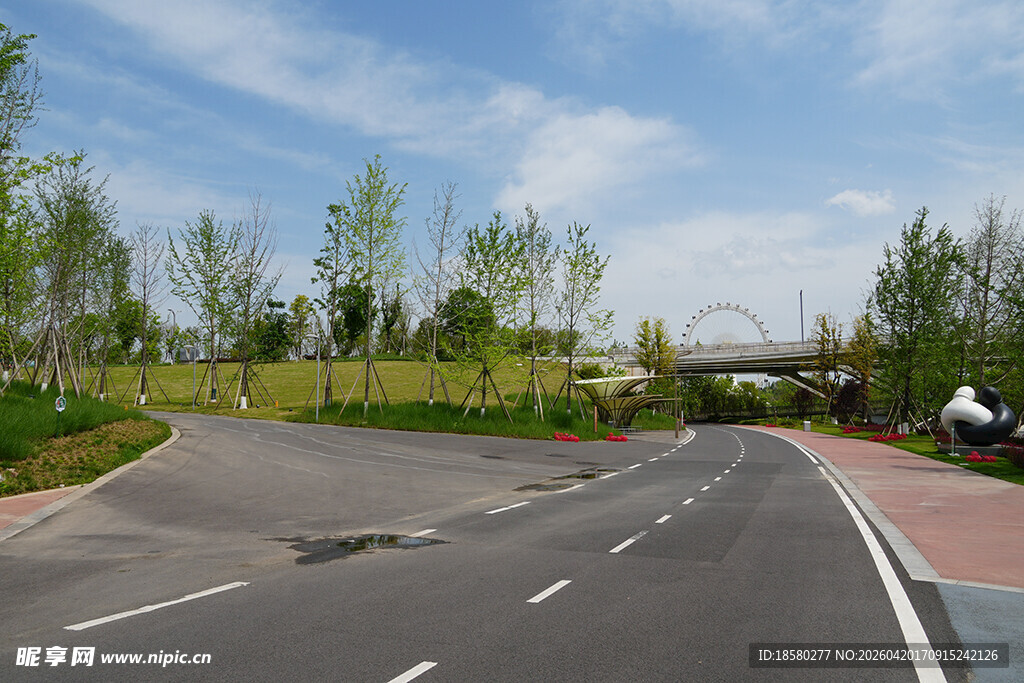 宽阔道路旁的清新绿化景观