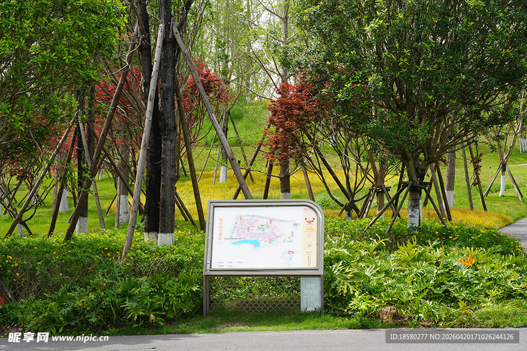公园中的指示牌与绿植景观