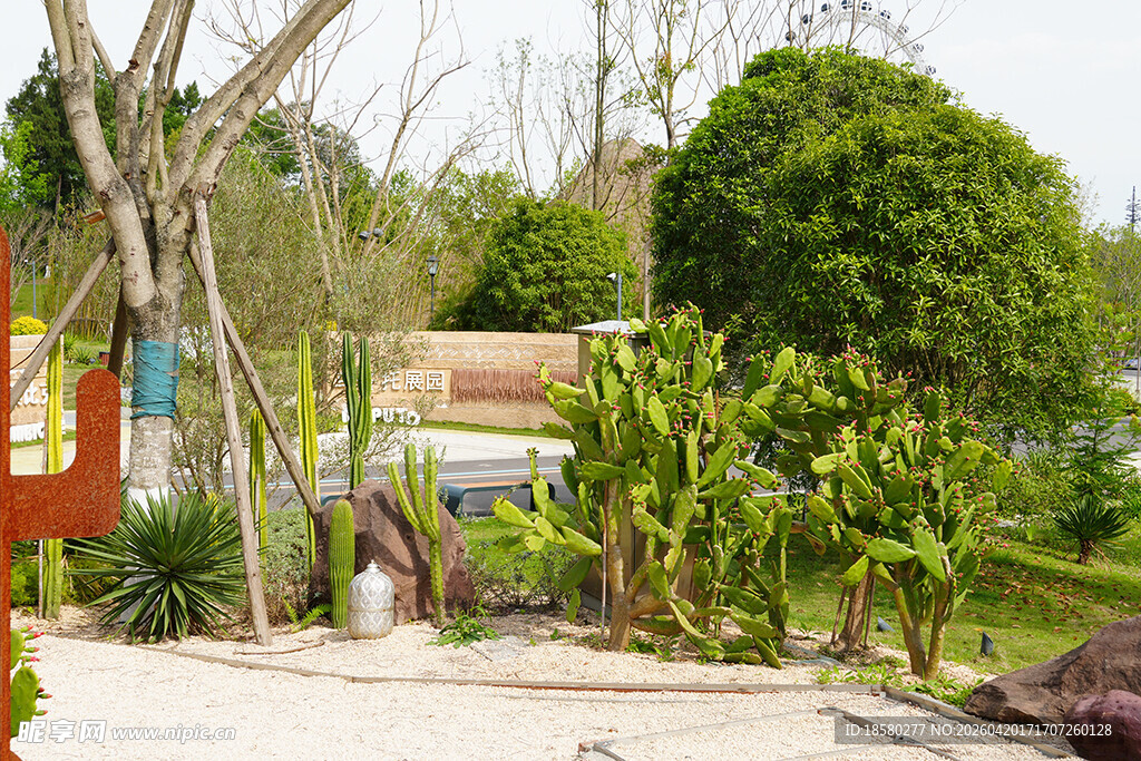 户外园林景观一角