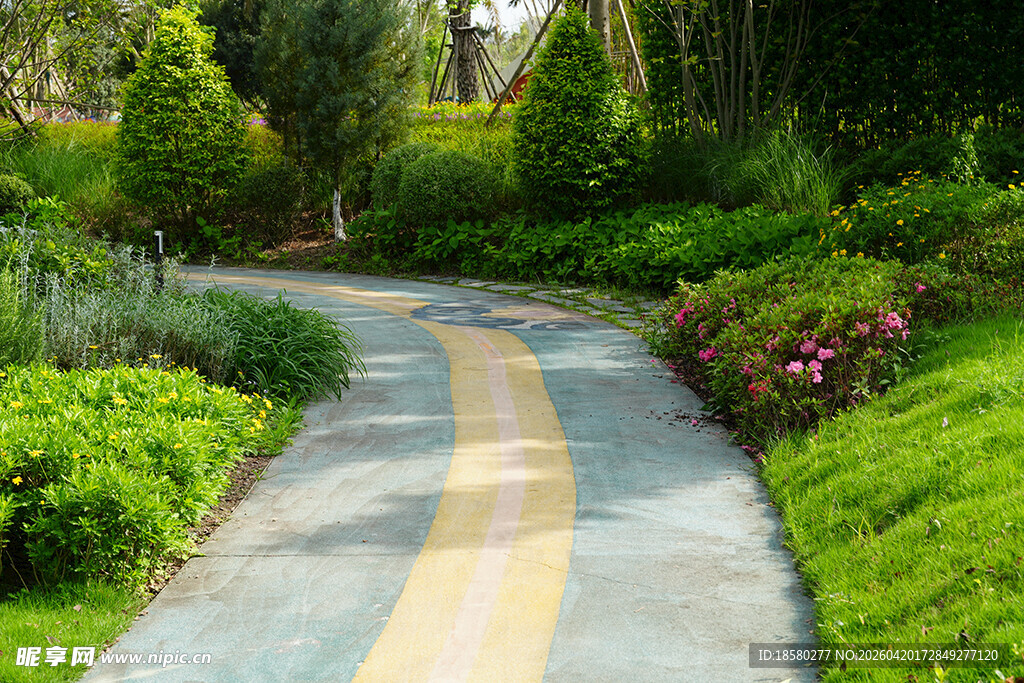 蜿蜒小径旁的缤纷绿植