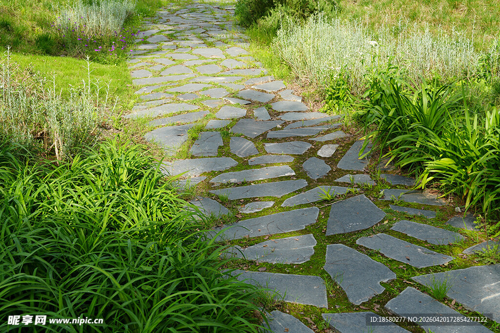 田园风石板小径绿意盎然