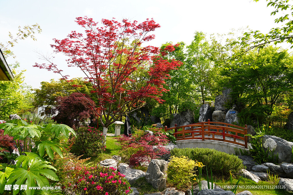 日式庭院中的多彩景致