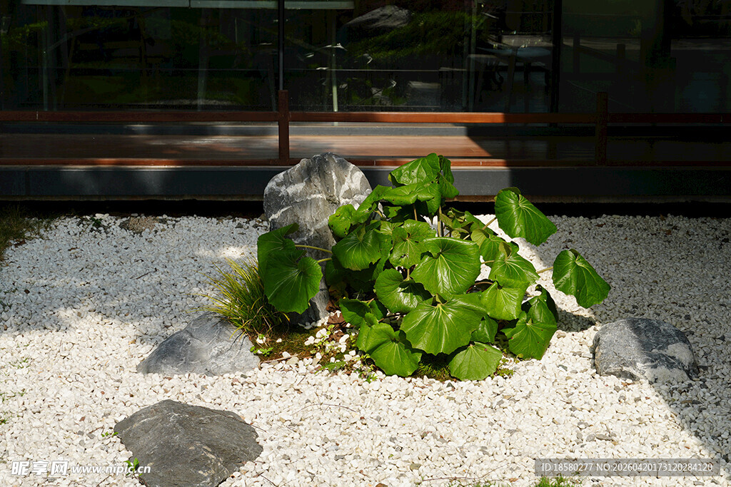 日式庭院绿植景观