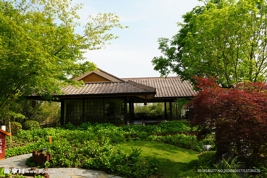 中式庭院 绿意盎然景观美