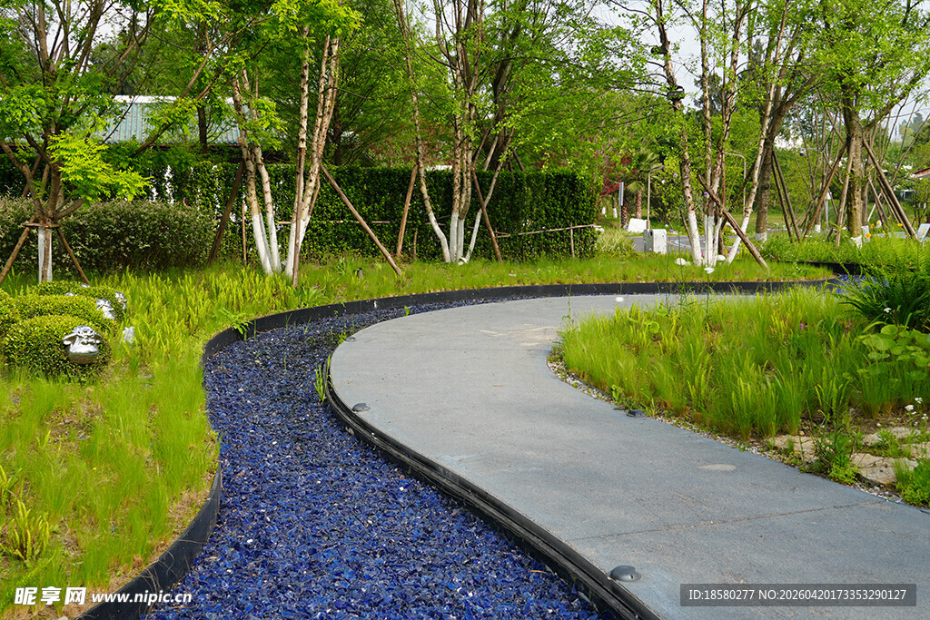 蜿蜒小径旁的绿植景观