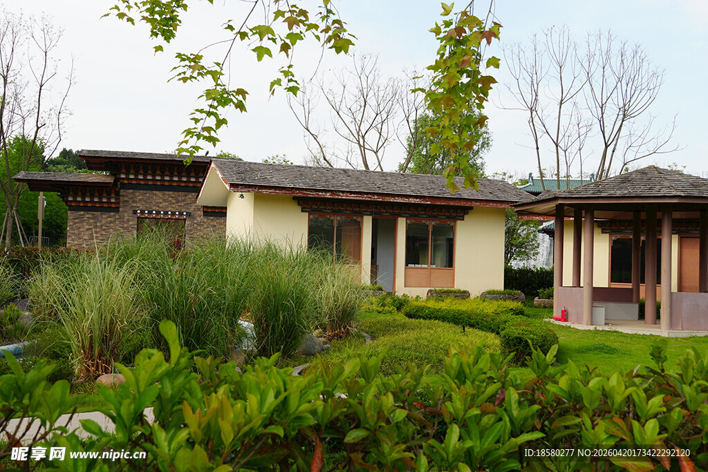 现代风格住宅与绿植景观
