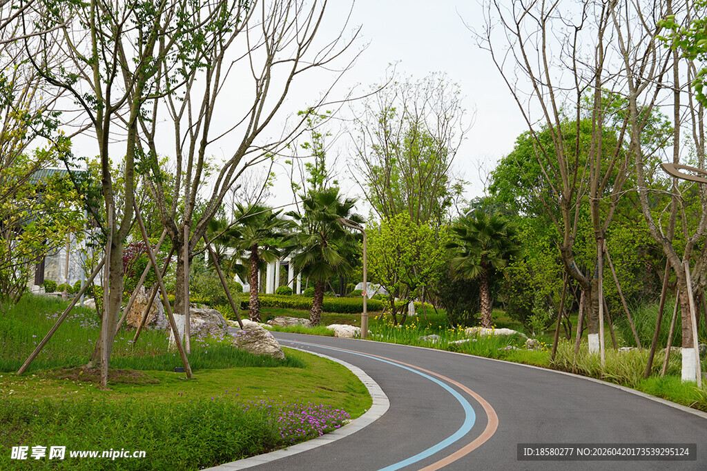 蜿蜒林间步道 绿意盎然