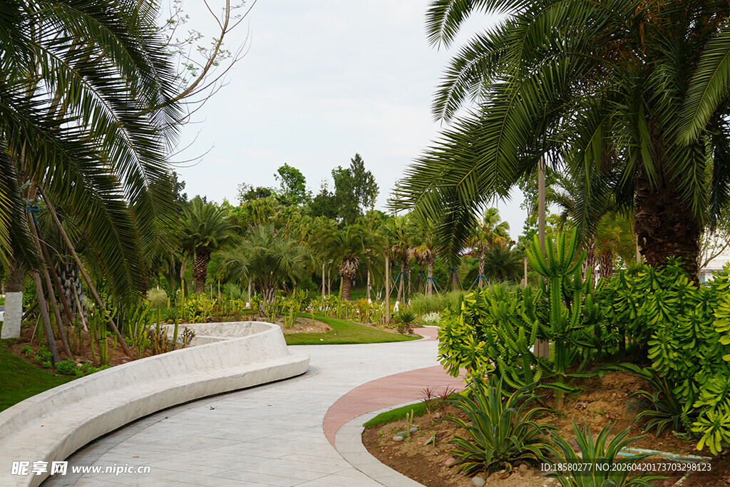 园林景观中的蜿蜒小径