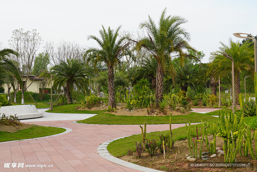 公园蜿蜒小径与绿植景观