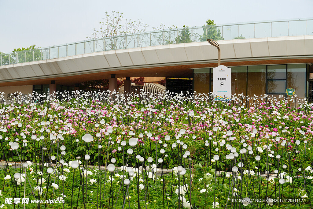 繁花簇拥的现代建筑景观