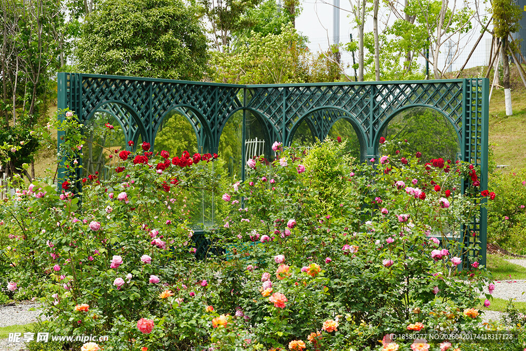 花园中的绿色铁艺花架