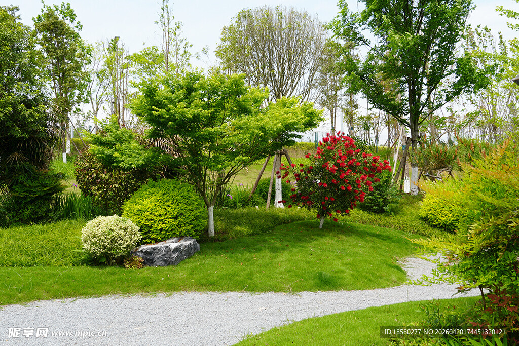 精致美丽的花园景观