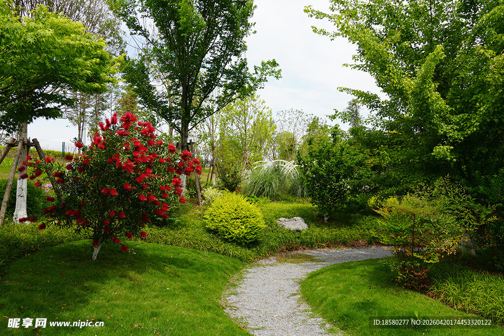 美丽花园小径 绿植繁花相伴