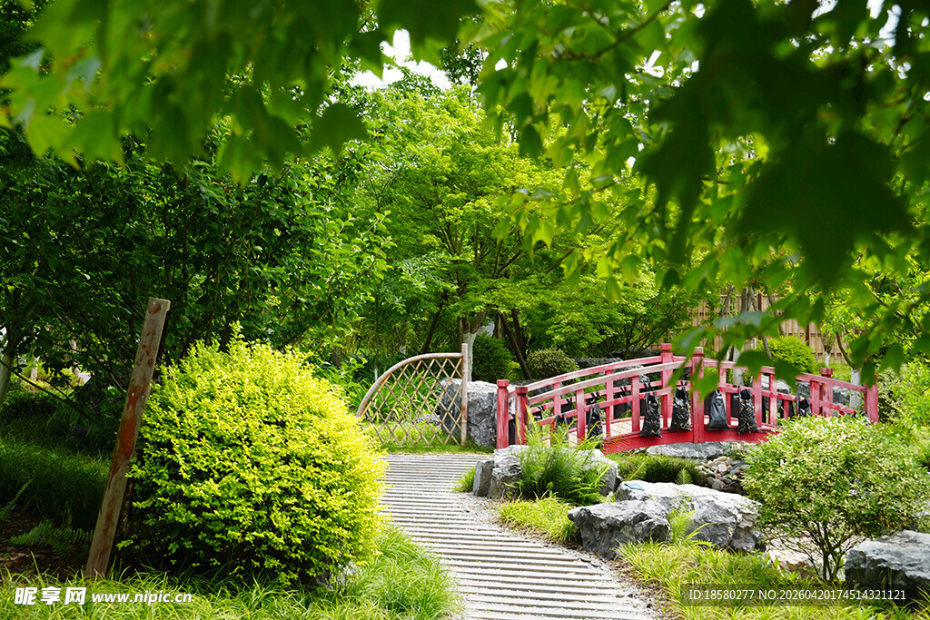园林小径 绿植繁花景致