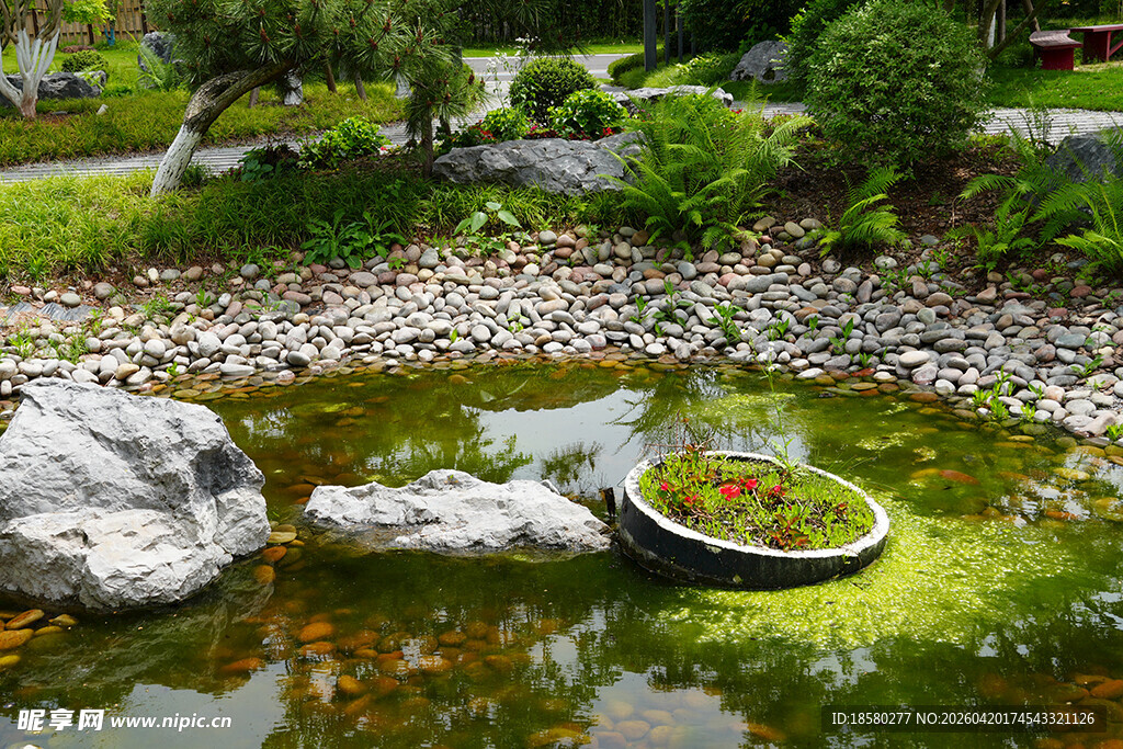 中式庭院清幽小池塘景观