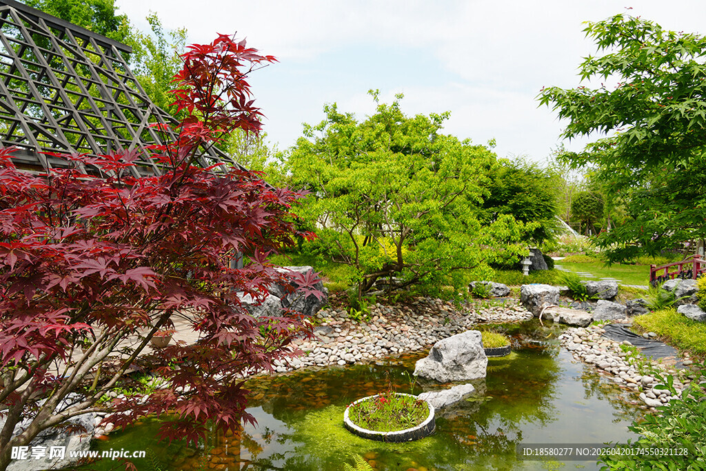 日式庭院景观 静谧小池塘