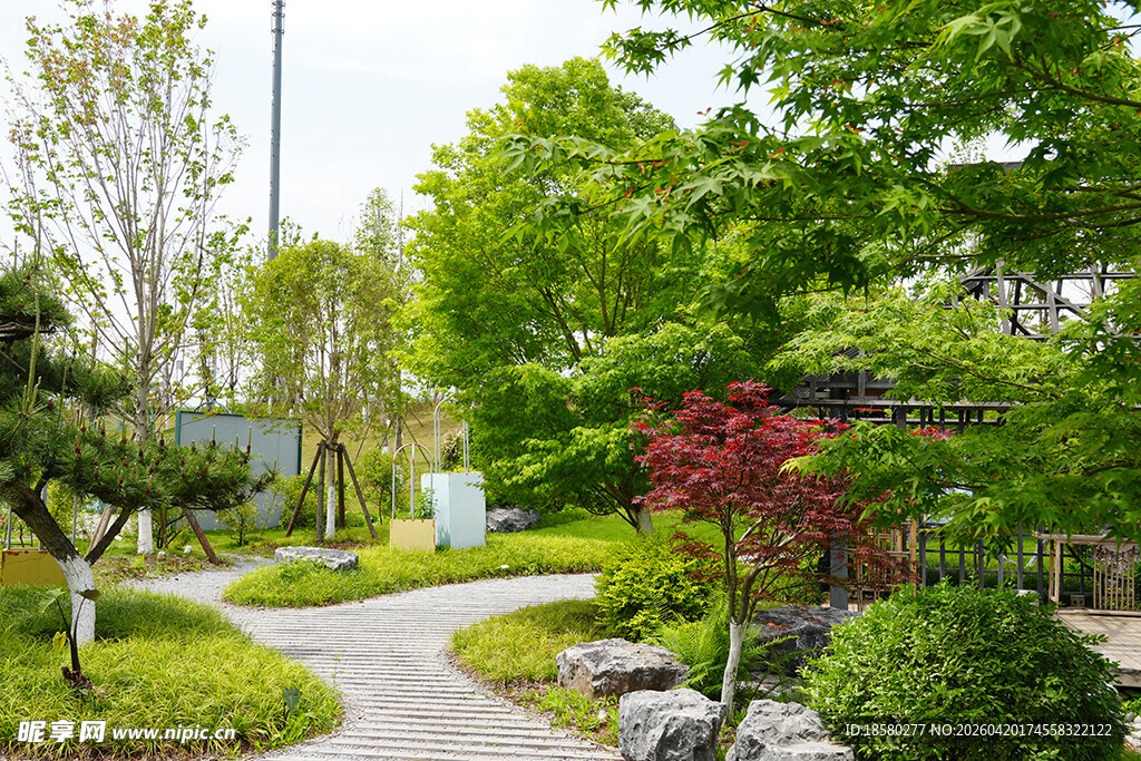 精致园林景观 绿意盎然