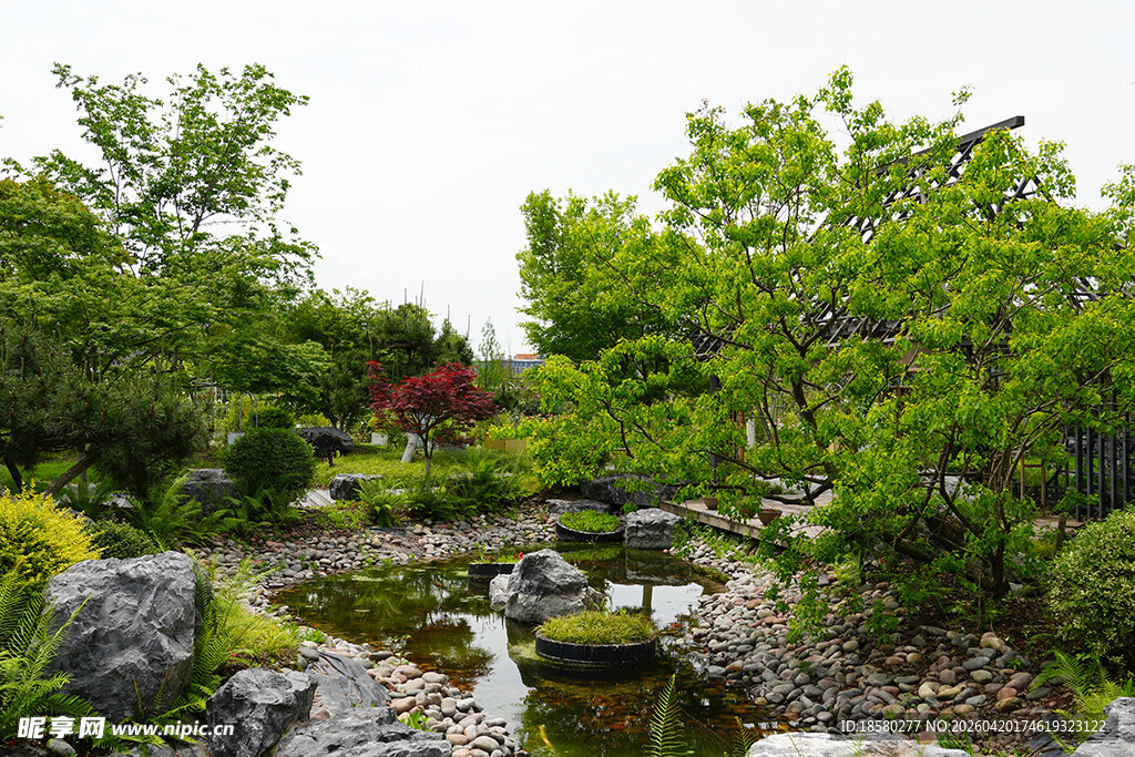 日式精致庭院景观