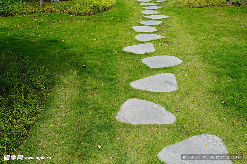 草地中的石板小径