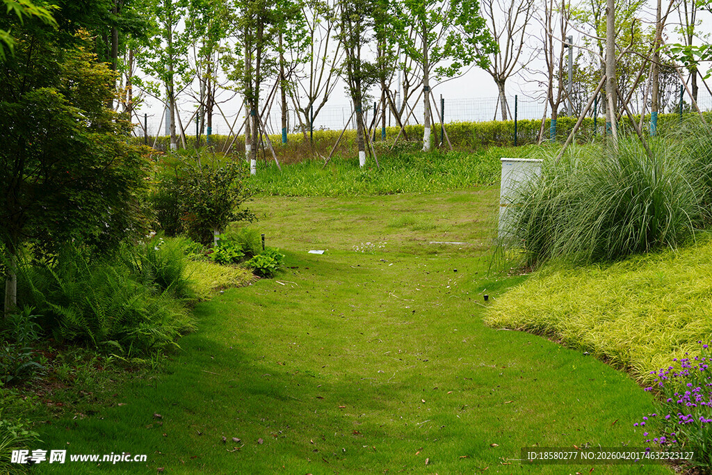 绿意盎然的户外花园景观