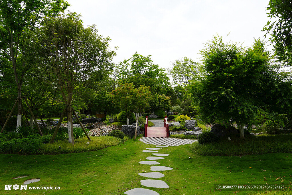 林间石板小径绿意盎然