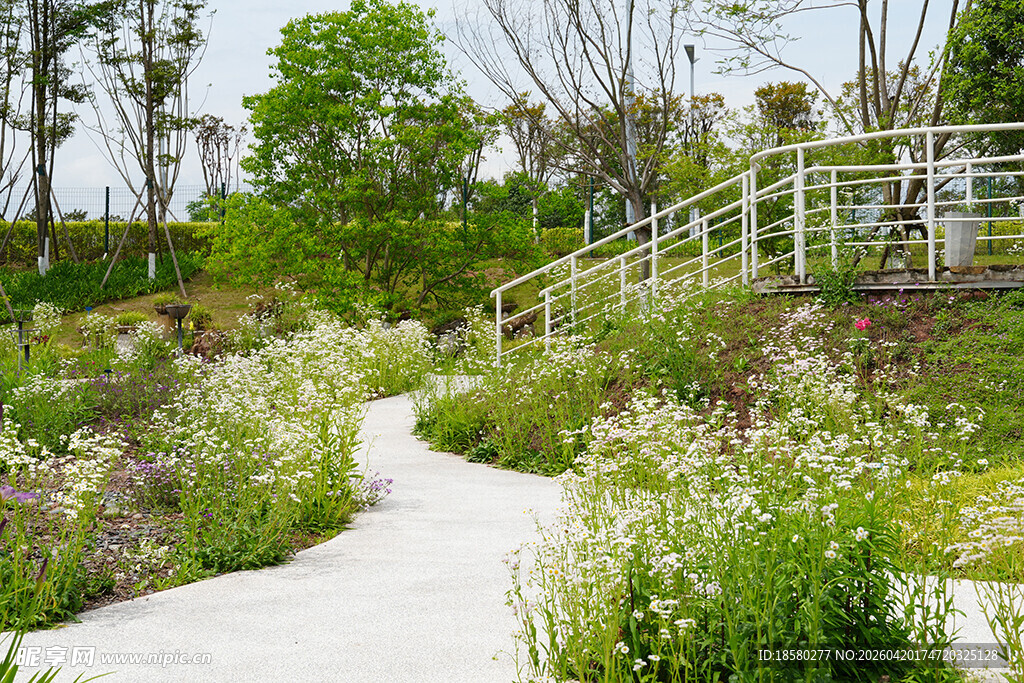 花园中的蜿蜒小径