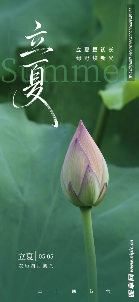 立夏海报