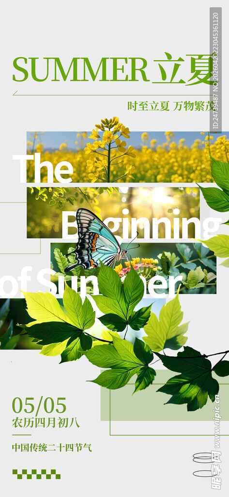 立夏海报