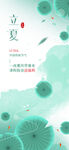 立夏海报