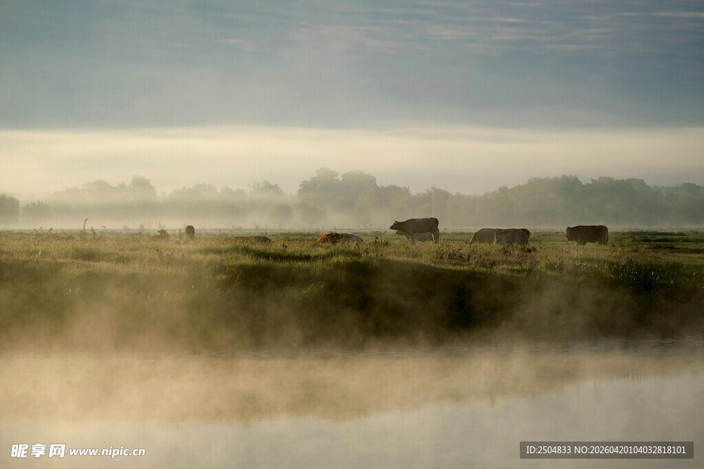 晨雾中的草原湿地风光