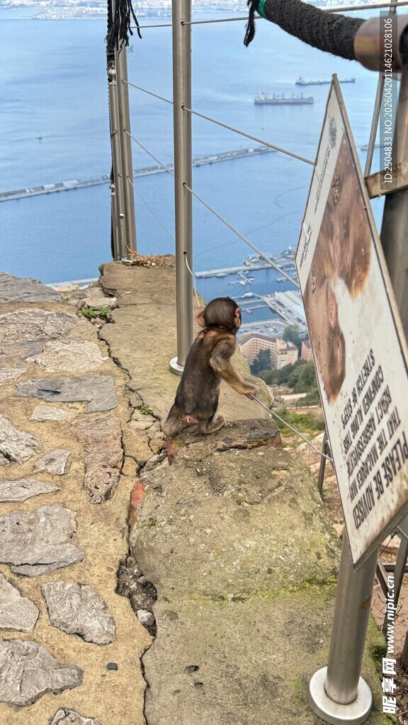 工人在户外进行建筑作业