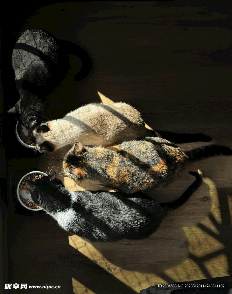 桌上的烤鸡与餐具