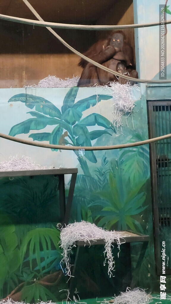 街头涂鸦艺术中的绿植图案