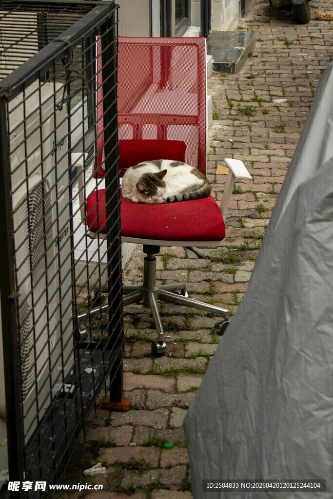 户外红椅上的物品摆放