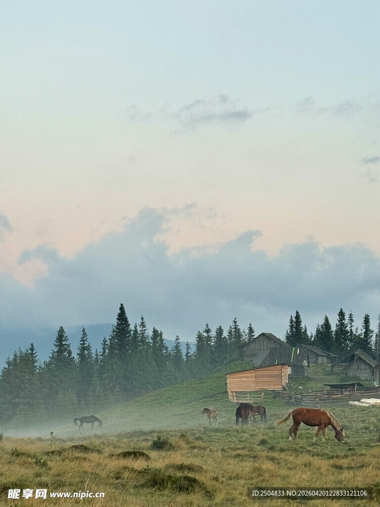 草原晨景中的小屋与牛马