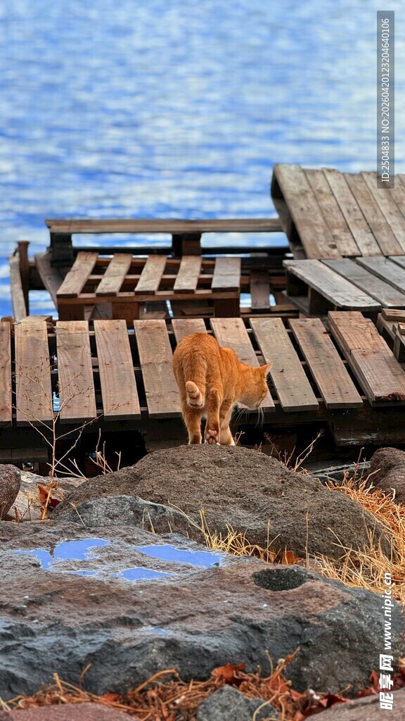 湖畔老旧木栈桥风景