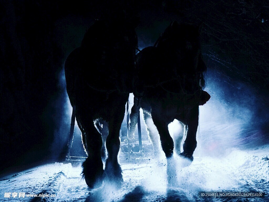 黑暗中奔跑的两匹马