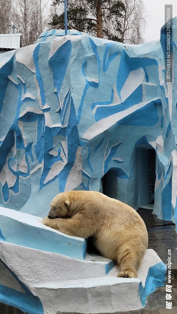 北极熊慵懒趴于人造冰面