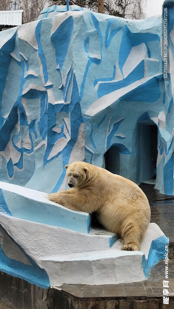 北极熊坐于仿真冰川平台