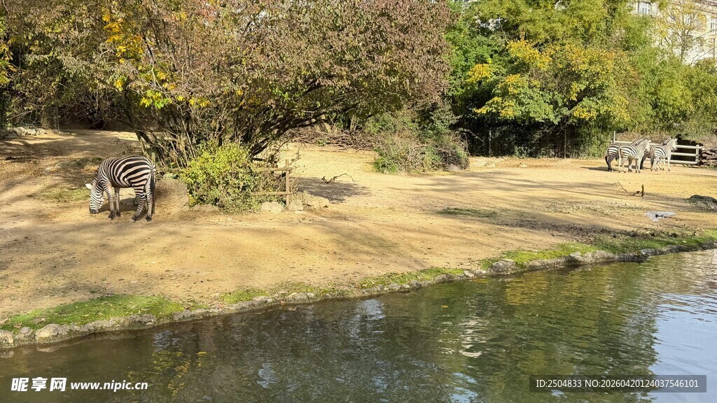 湖畔自然风光静谧之景