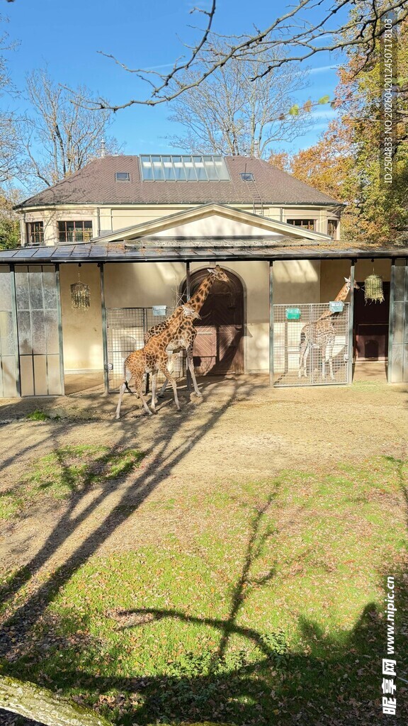 乡村小屋前的骑行场景