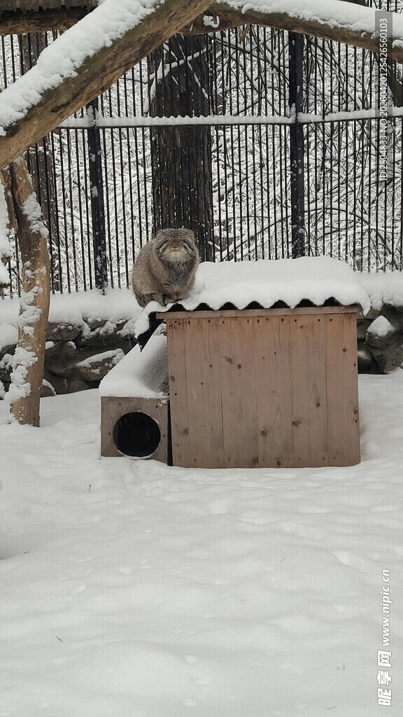 雪覆小屋与户外设施