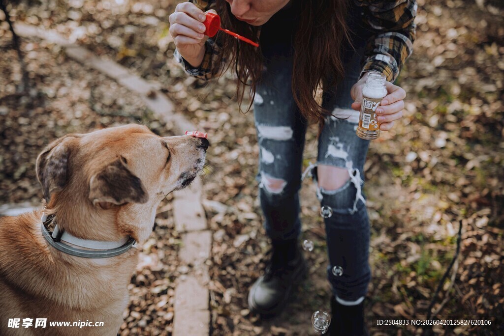 女孩与狗在林间互动