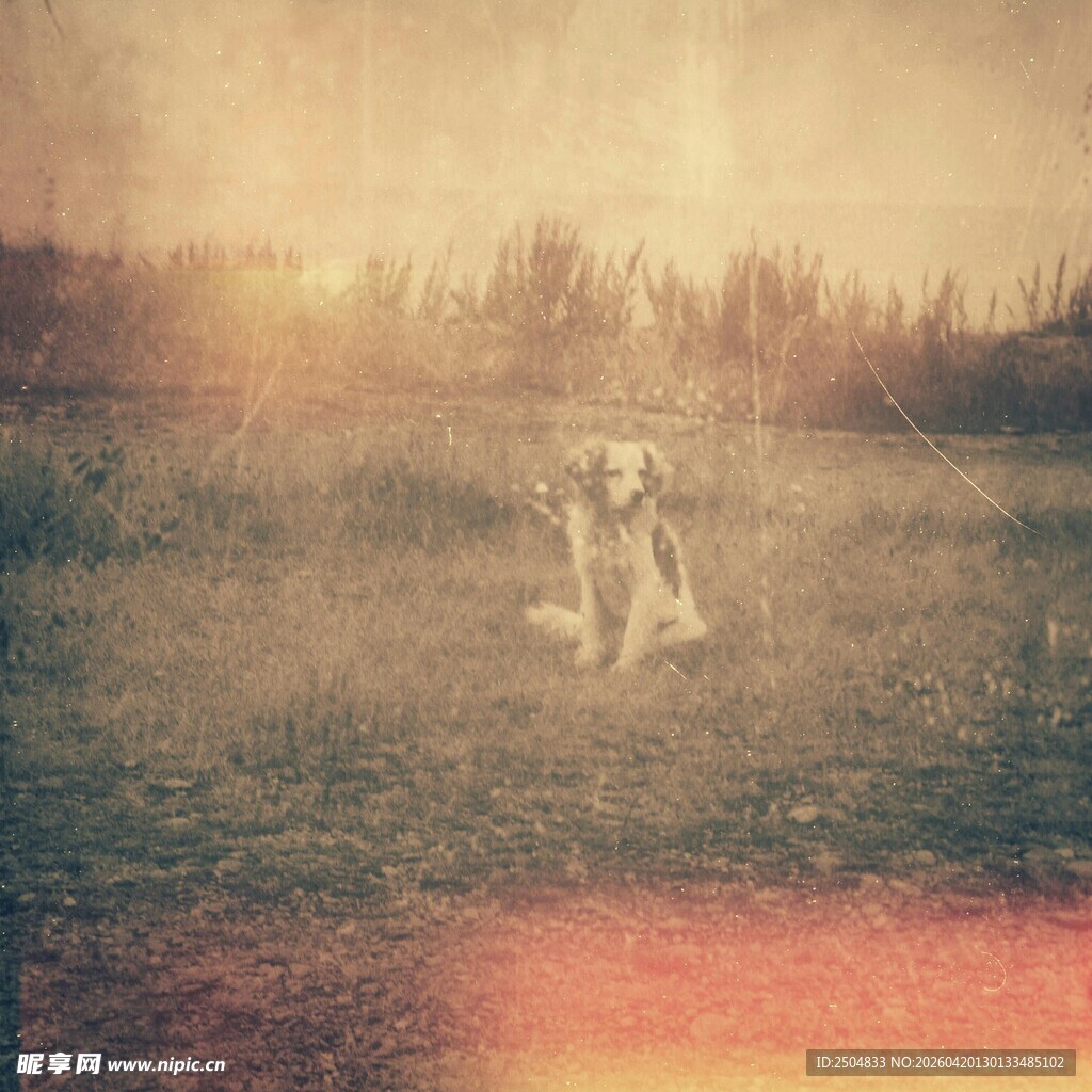 夕阳下旷野中的人物背影