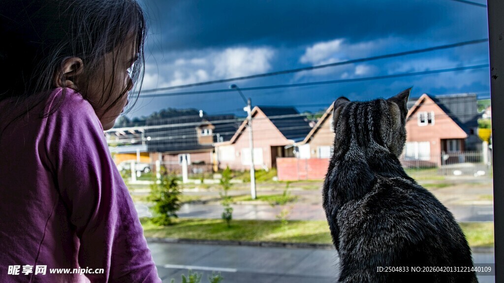 女孩与猫共赏窗外风景