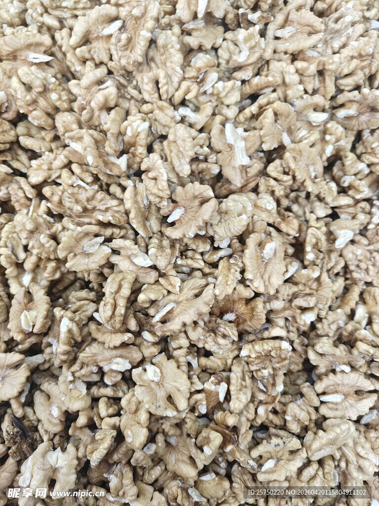 核桃仁特写