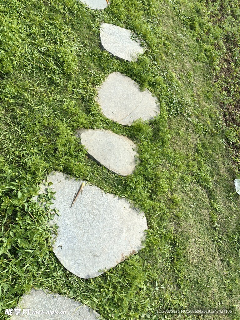 草地中的石板小径