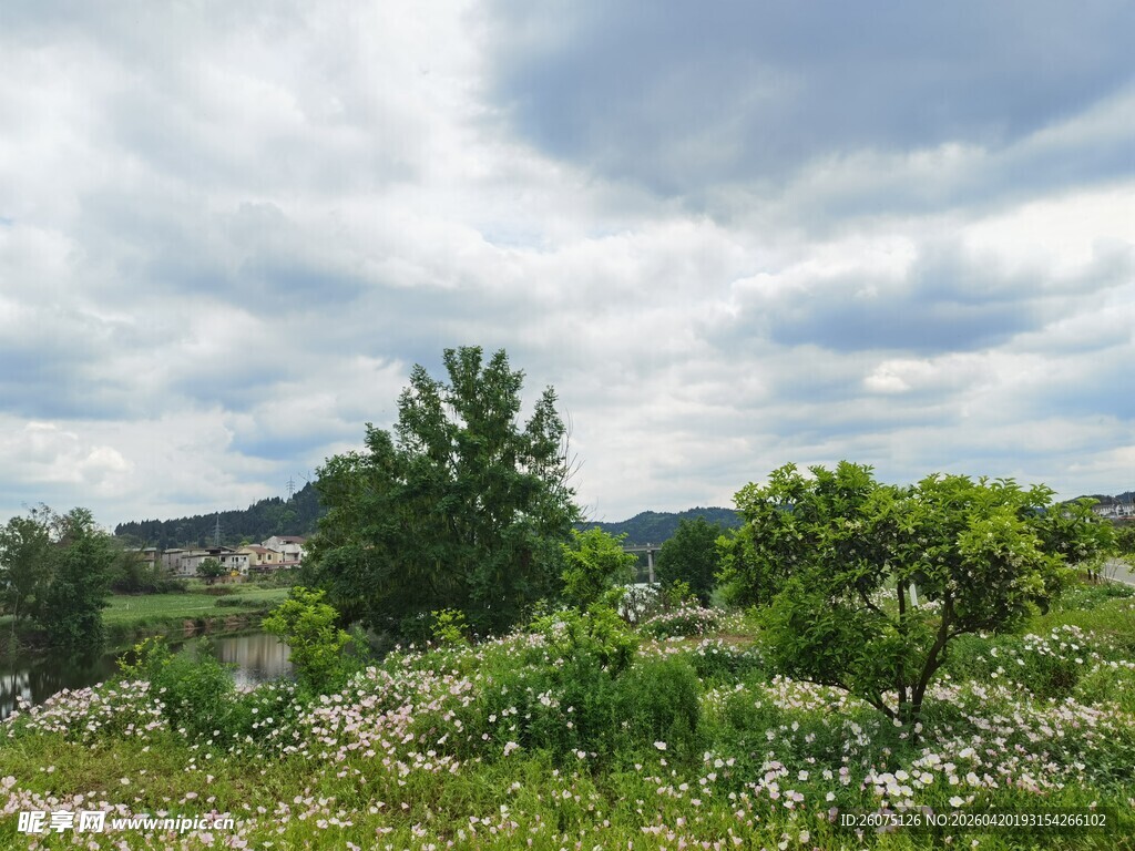 田园绿野风光
