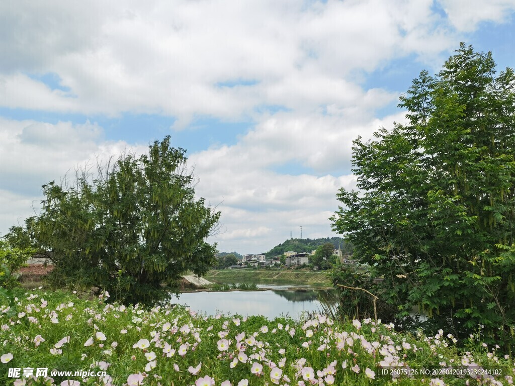 湖畔花草树木的美丽景致